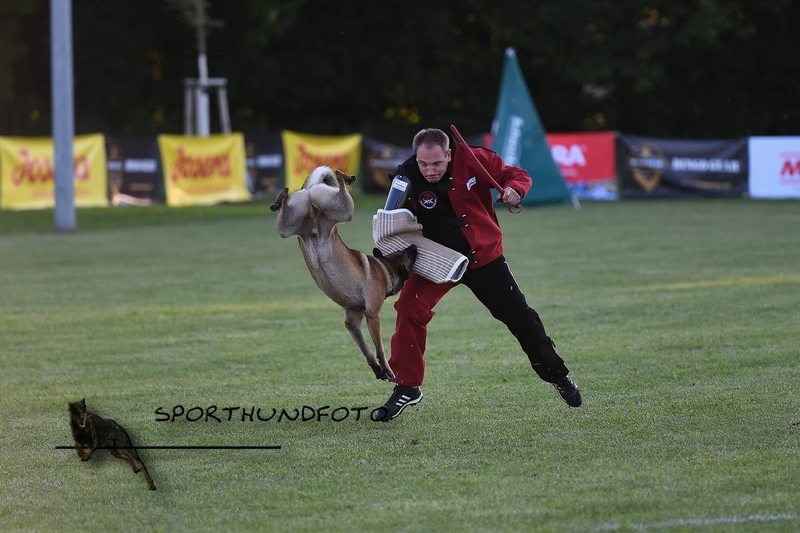 Impressionen 480.jpg